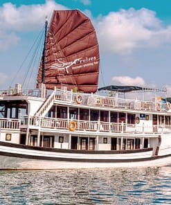 Swan Cruise